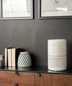 Best Air Purifiers of 2023