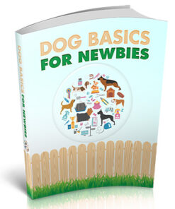 Dog Basics For Newbies: Demystifying Dog Food Ingredients