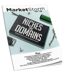 Profitable Niches and Domains Ebook: Analyzing, Selecting, and Profiting from Lucrative Markets