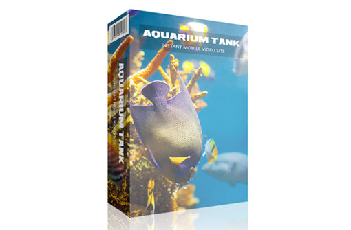 Aquarium Tank Instant Mobile Video Site